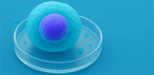 Kök Hücre Tedavisi